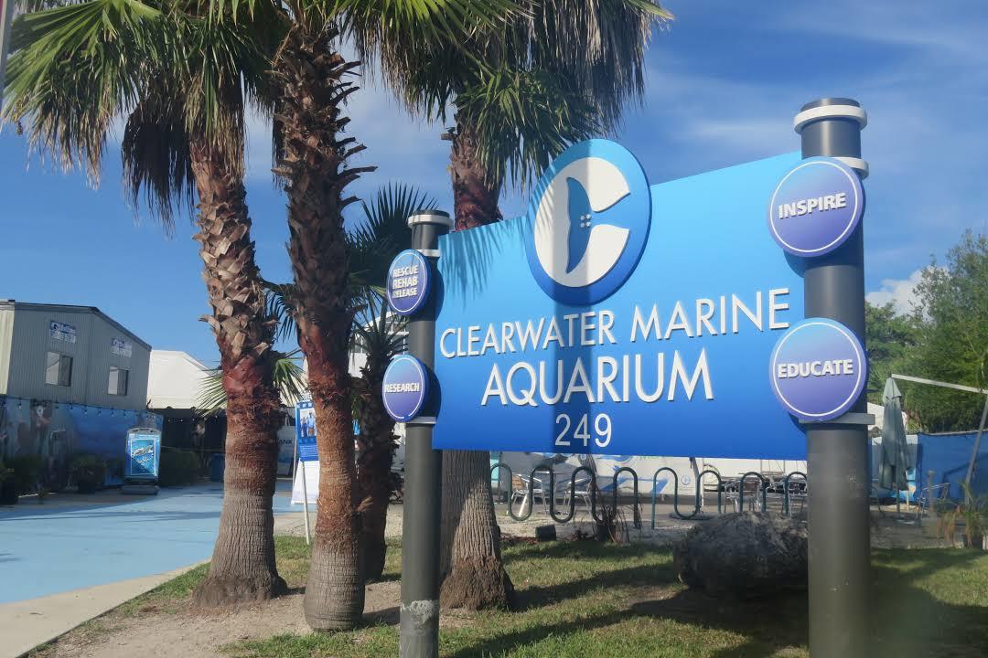 Acuario Clearwater Marine Aquarium